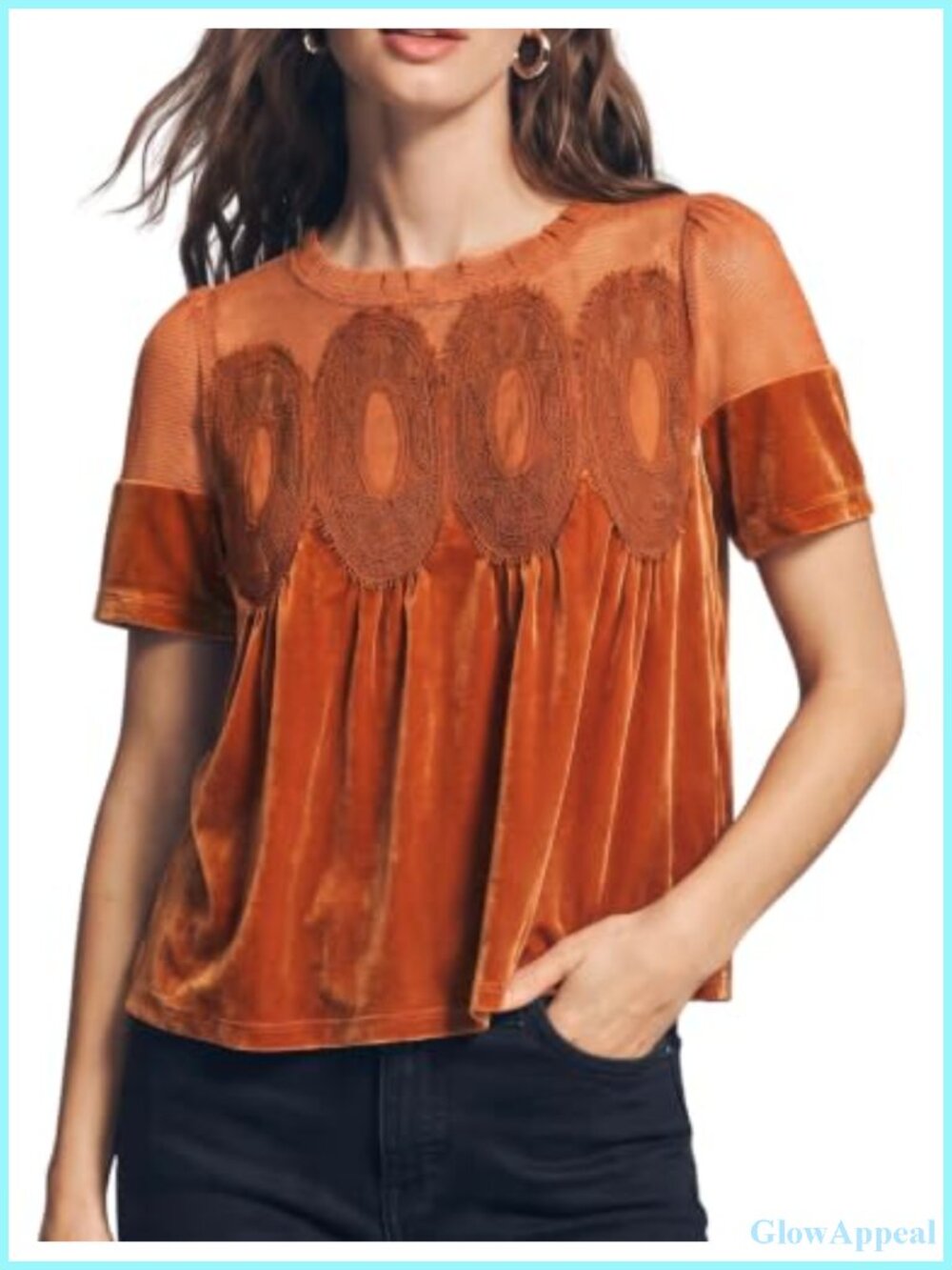 Velvet Lace Blouse Short Sleeve Flowy Top